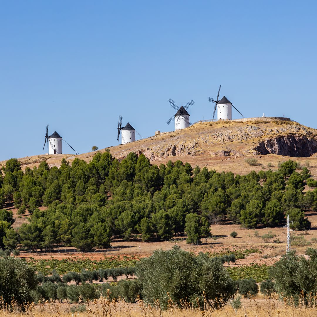 Molinos de viento de Alcázar de San Juan, Ciudad Real