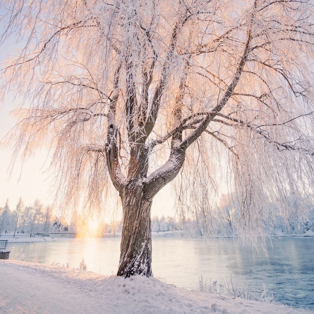 Parque nevado en Oulu, Finlandia