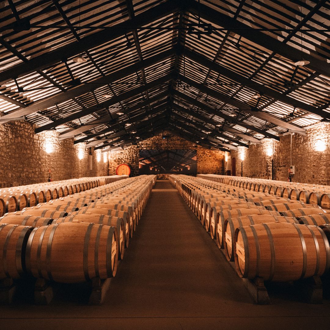 CVNE (Société Vinicole du Nord de l'Espagne)