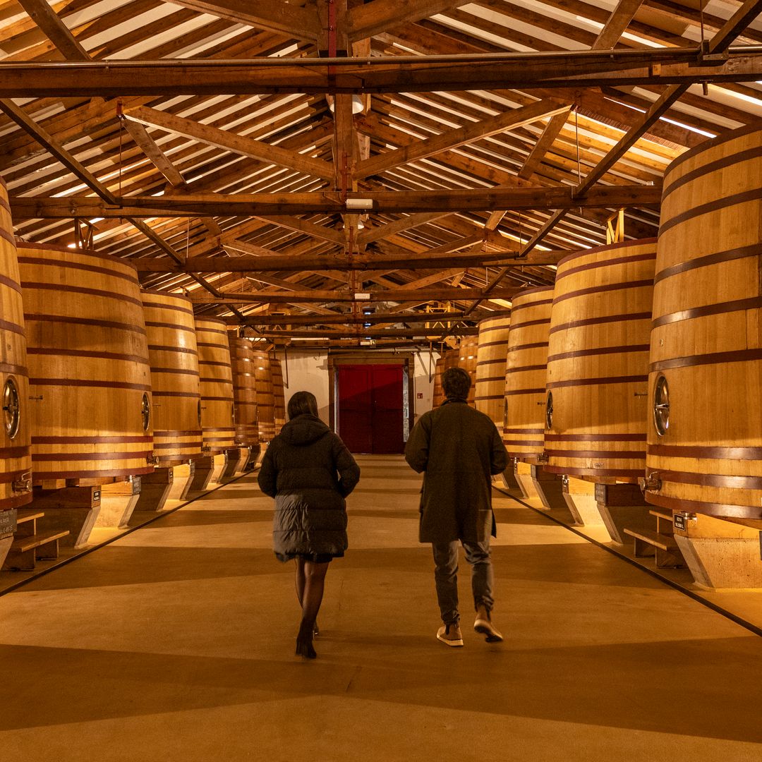 Visite à CVNE (Société Vinicole du Nord de l'Espagne)