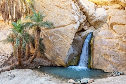 Un oasis en el desierto, Chebika.