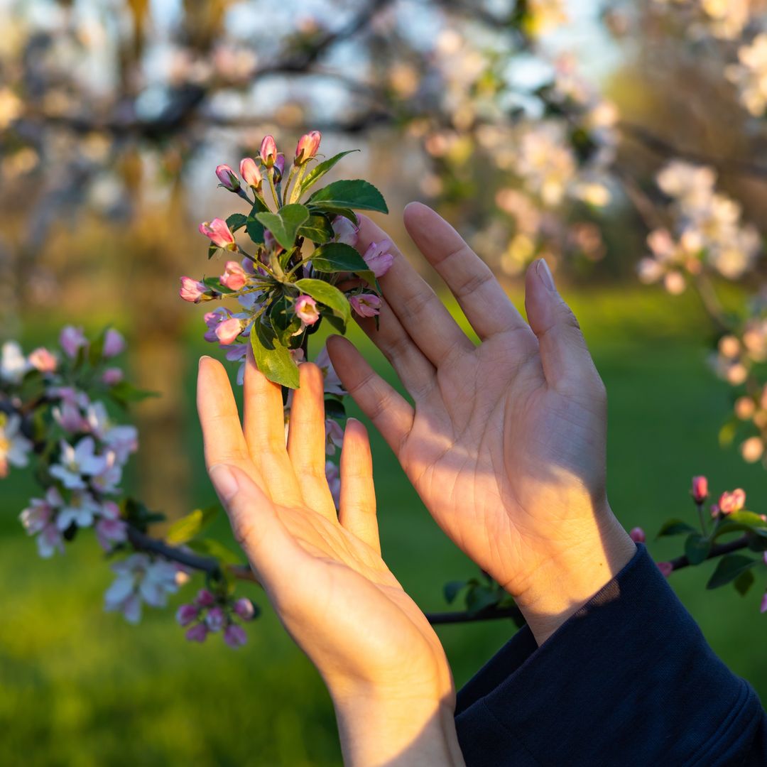 Floración, Cieza, Murcia