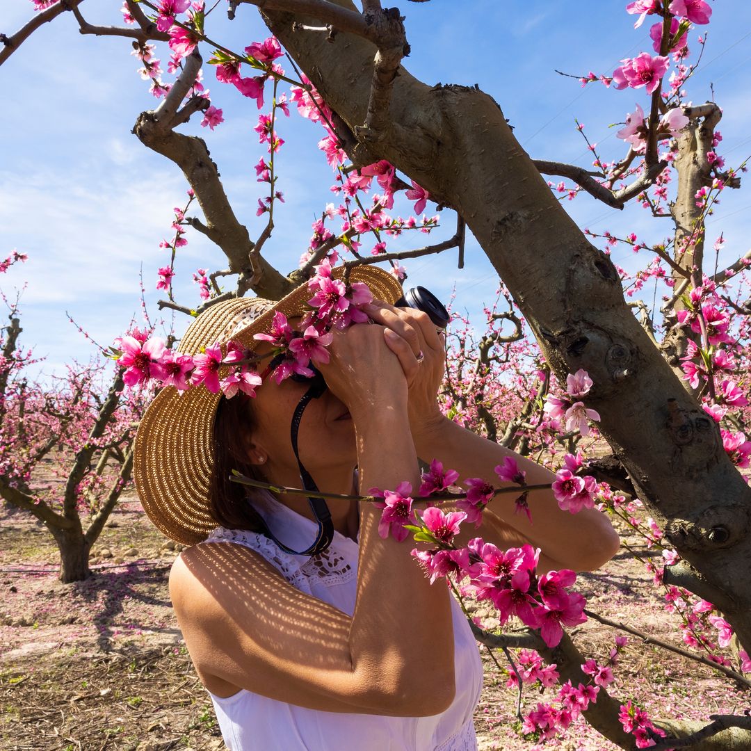 Floración de Cieza, Murcia