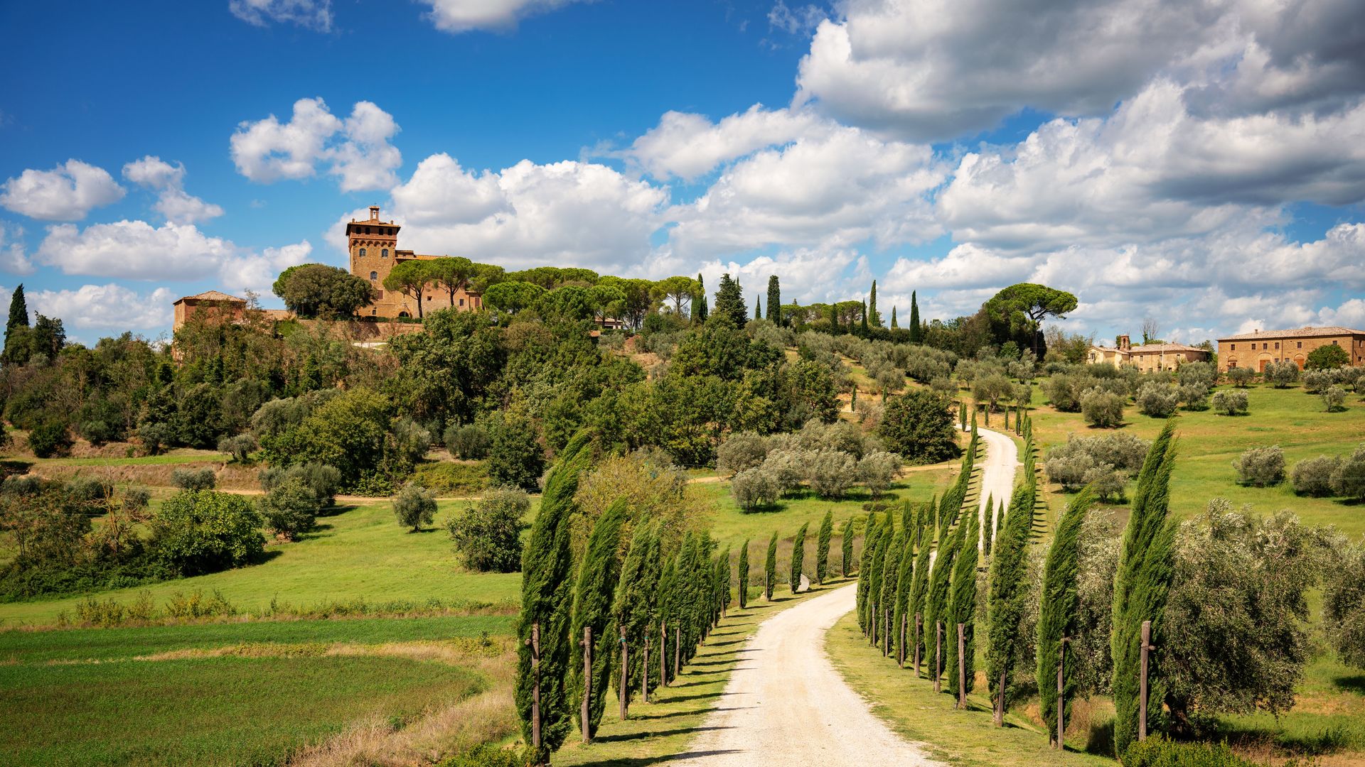 La ciudad de Pienza ofrece un paisaje típico toscano con colinas y altos cipreses que guían el camino.