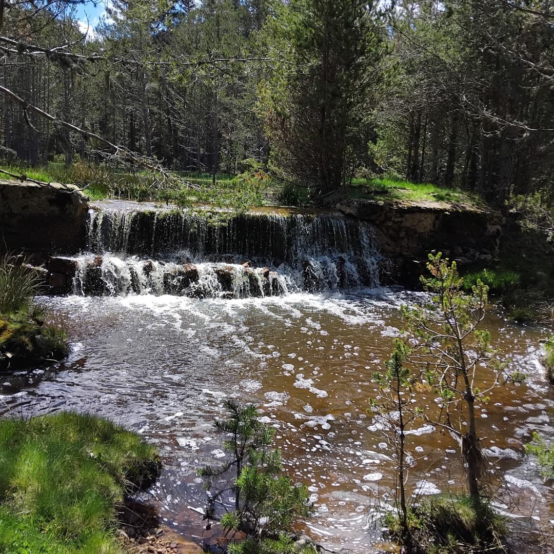 Alrededores de Bronchales, Teruel