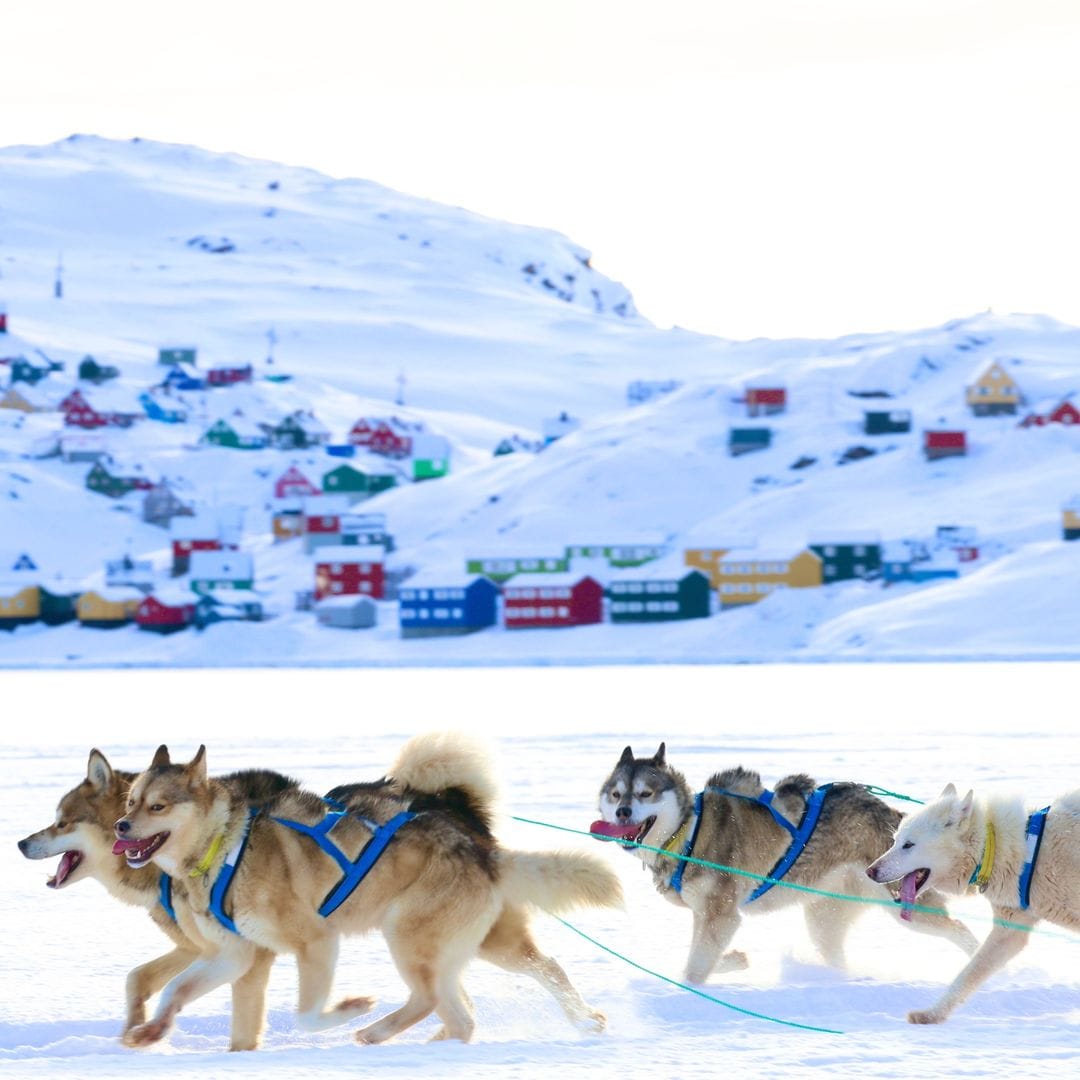 Trineos tirados por perros cerca de Tasiilaq en el este de Groenlandia