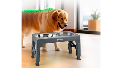 Comedero para perros sobre un fondo blanco.