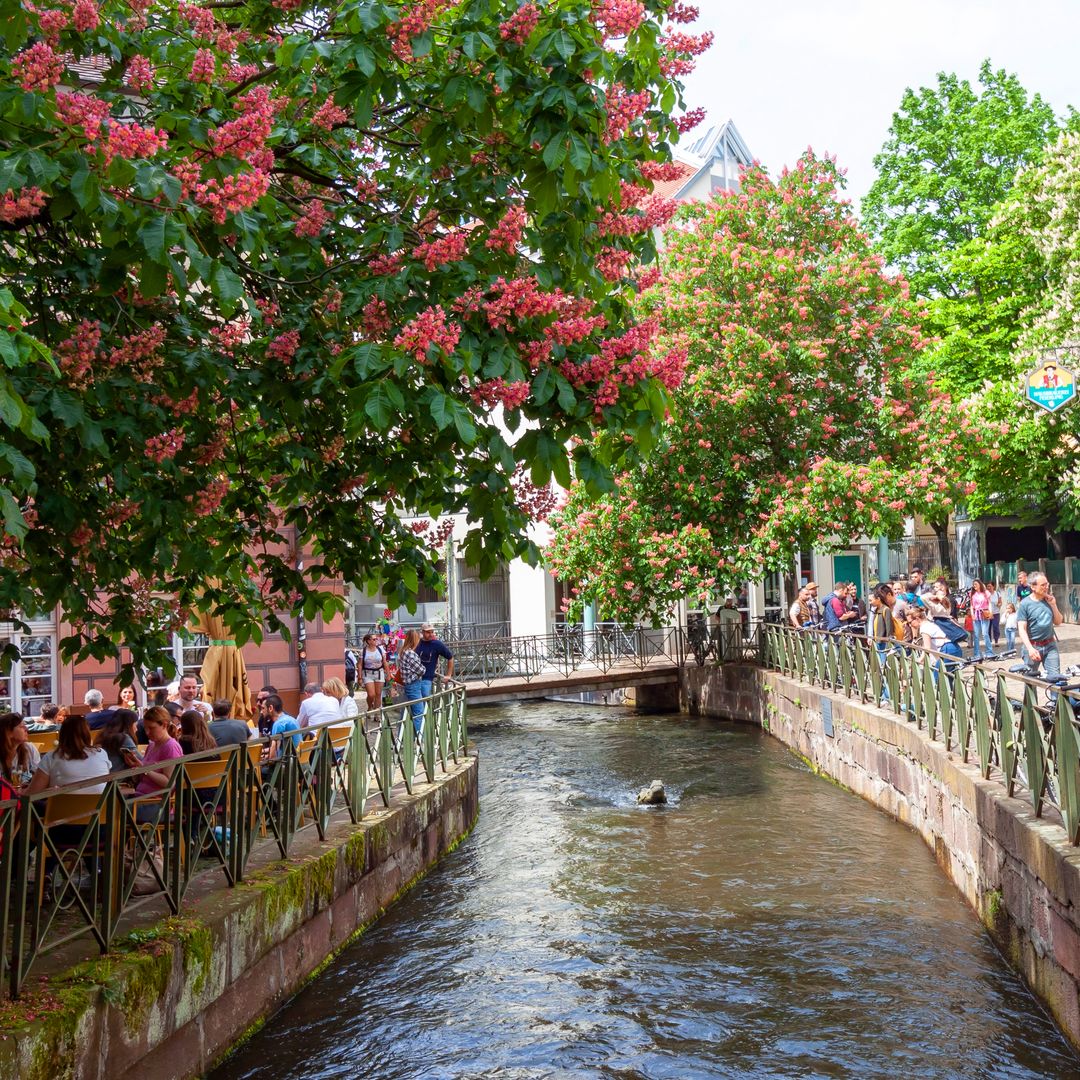 El distrito de los caracoles de Friburgo, Alemania