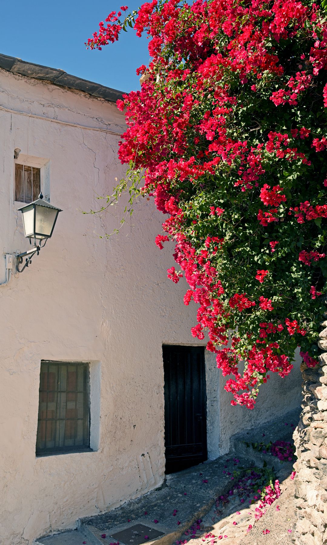 Buganvillas decorando las calles típicas de la Alpujarra