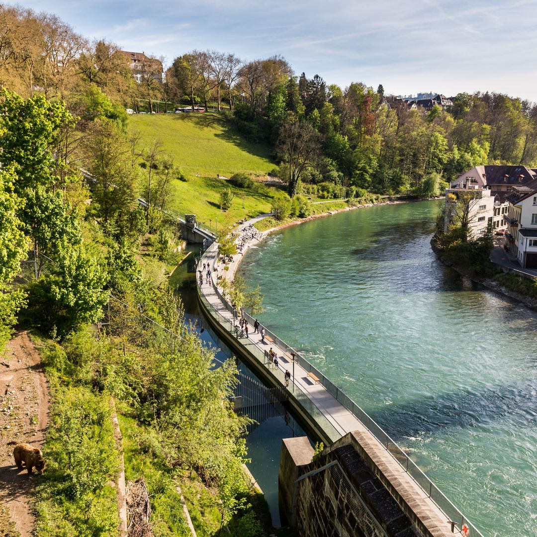 El espacio verde de Berna a orillas del Aar, donde todavía conviven varios osos: el BärenPark.