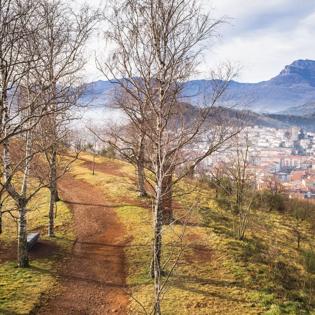 Vista panorámica de Olot desde el volcán Montscaopa, Garrotxa, Girona