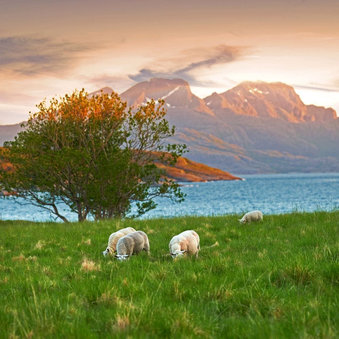 Paisajes montañosos cerca de Bodo y Kjerringoy, Noruega.