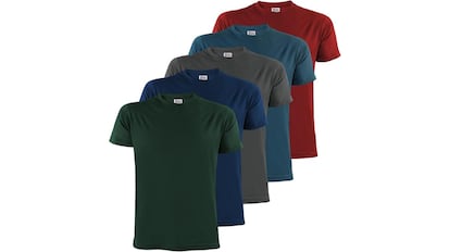 Cinco camisetas para hombre.