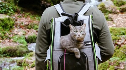 mochila de transporte para perros y gatos
