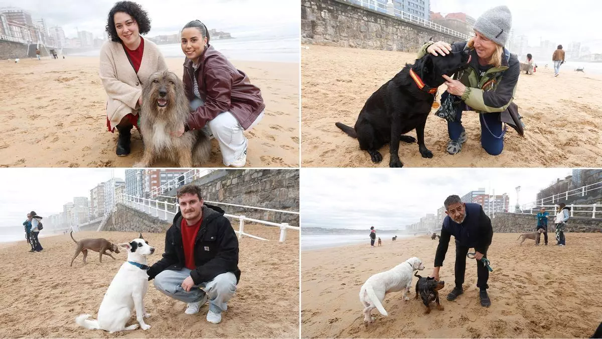 VIDEO: Dueños de perros celebran que los perros puedan acceder a la playa de San Lorenzo en las noches de verano: "no molestan a nadie"