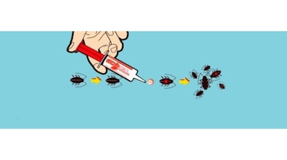 Esta es una de las mejores jeringas Ecogel para cucarachas.