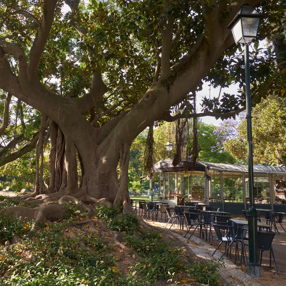Jardín Príncipe Real, Lisboa
