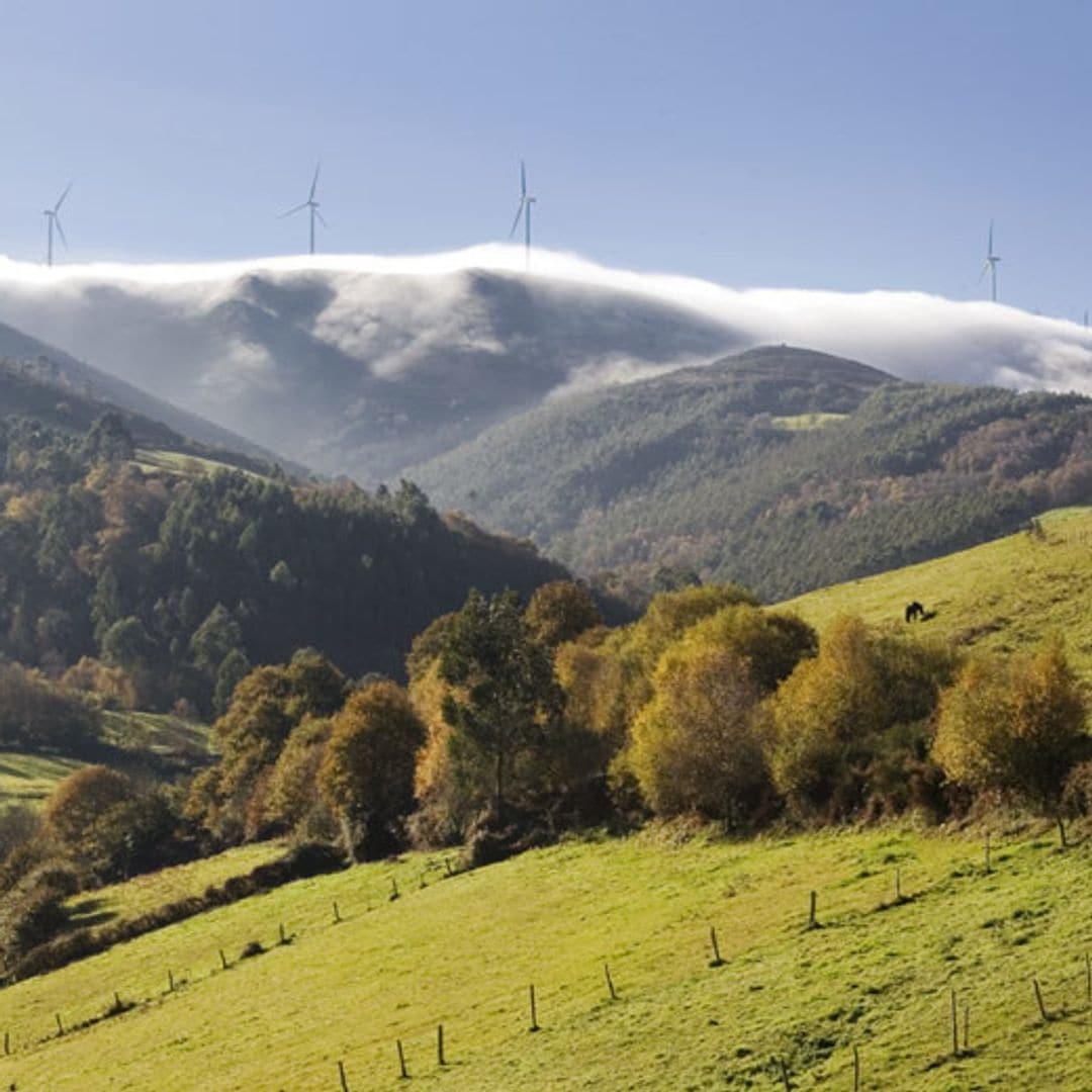 Paisaje de Terras do Miño, Reserva de la Biosfera, Lugo