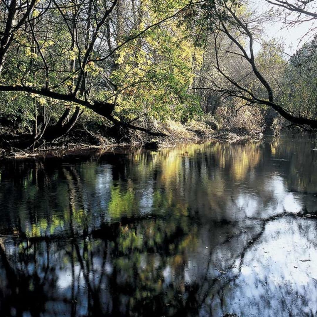 Terras do Miño, Reserva de la Biosfera, Lugo, Galicia