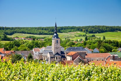 Pueblos entre viñedos en la región de Champagne, Francia.