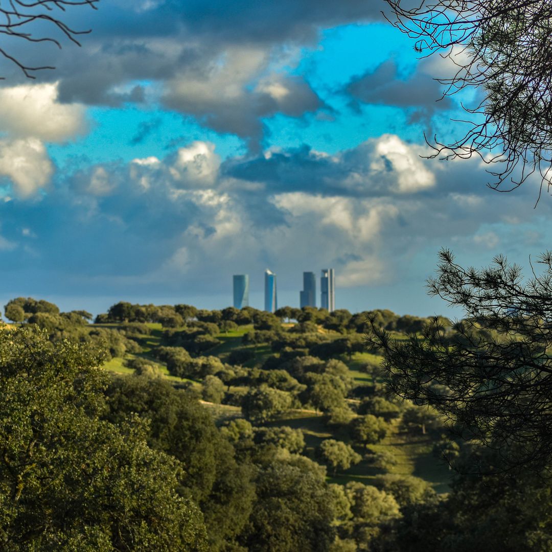 Madrid desde El Pardo