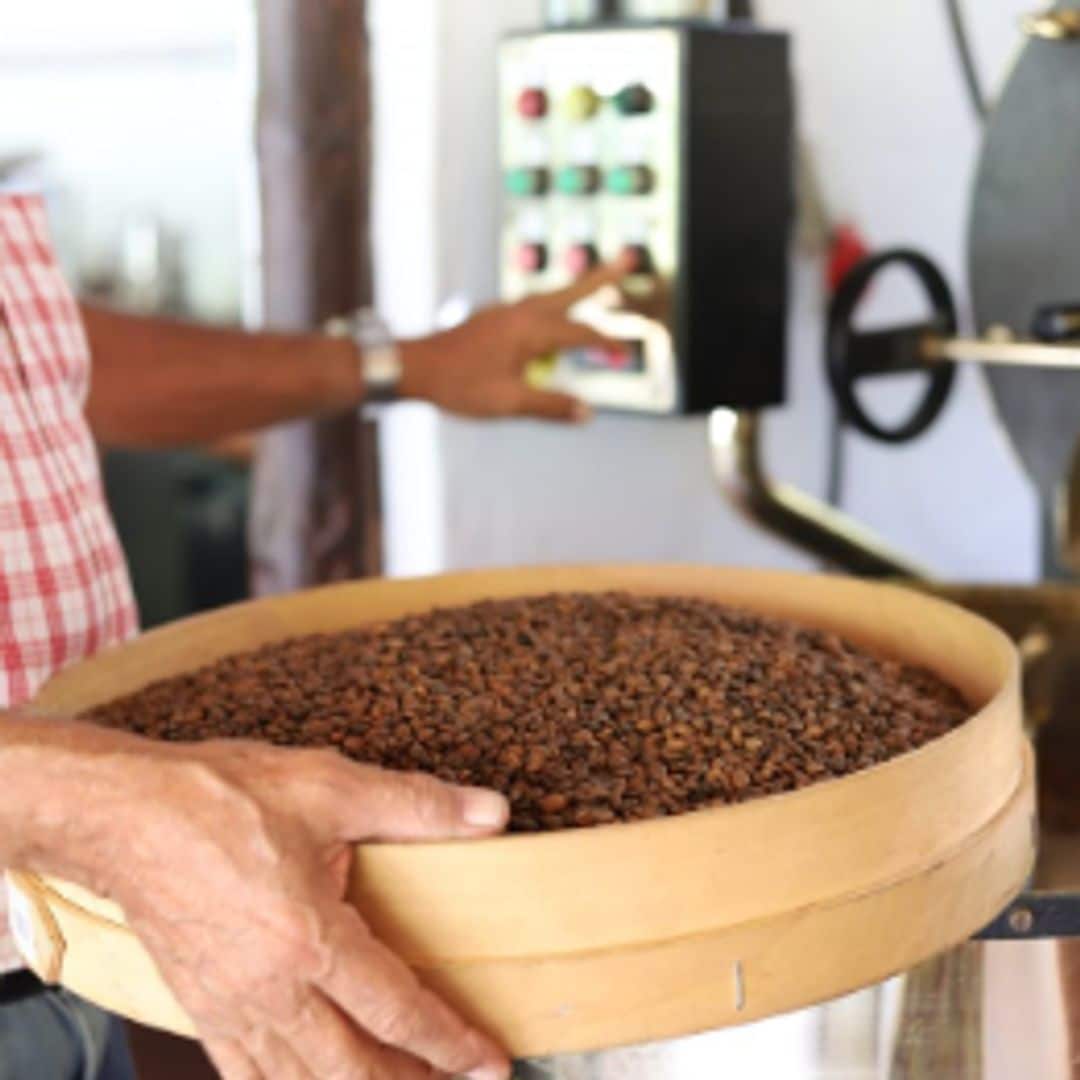 Café en Bodega Los Berrazales