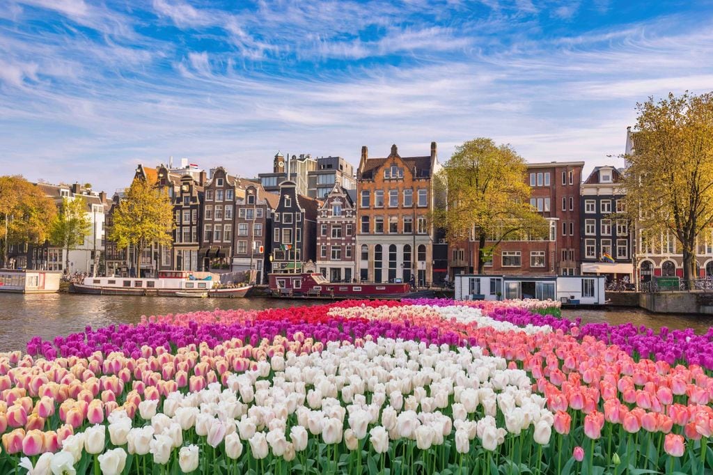 Horizonte de Ámsterdam con sus coloridos tulipanes