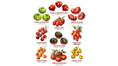 Este es uno de los mejores kits de semillas de tomate orgánicos que se pueden comprar en Amazon.