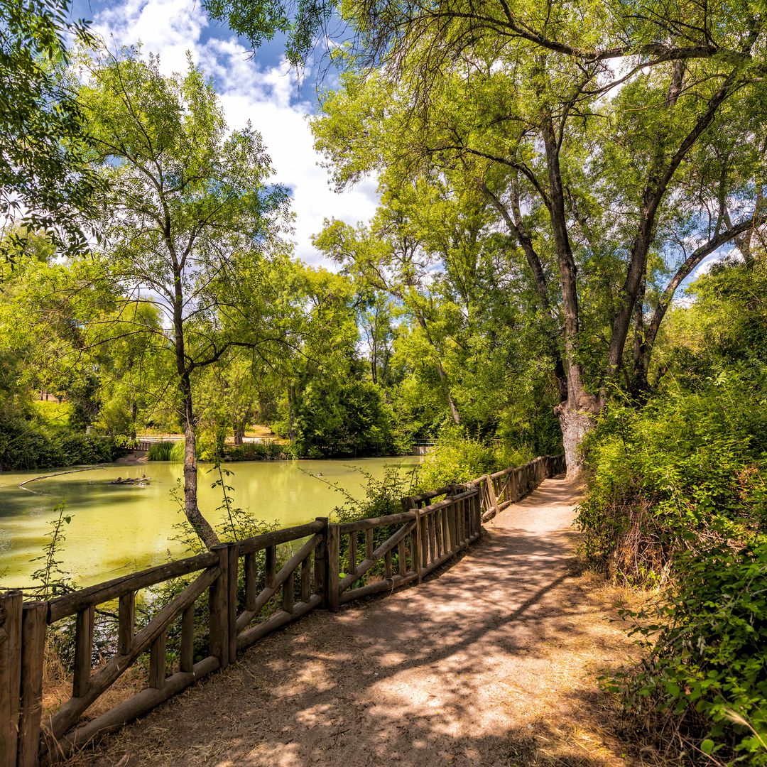 Casa de Campo de Madrid, un espacio perfecto para disfrutar de la naturaleza en la ciudad.