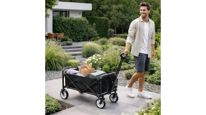 Carro multifunción precio mínimo histórico 26 de marzo cuerpo 1