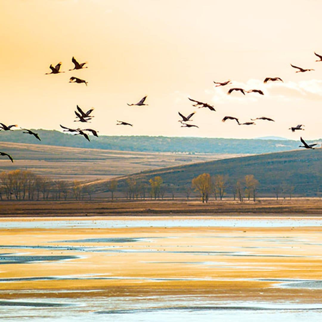 atardecer gallocante