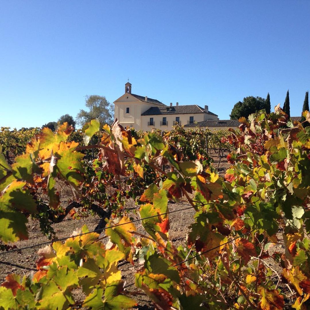 Finca Malpica de Tajo, Toledo