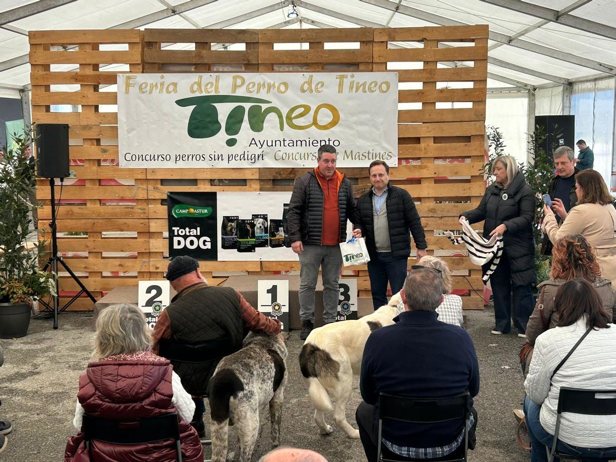 EN FOTOS: Los pastores de osu, protagonistas de la Feria del Perro de Tineo EN FOTOS: Los pastores de osu, protagonistas de la Feria del Perro de Tineo