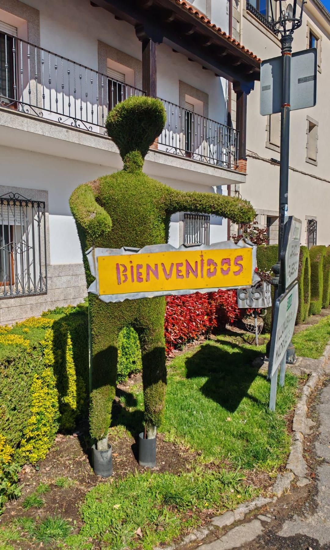 Arte topiario, esculturas artísticas sobre árboles y arbustos, en la localidad de Losar de la Vera, en Cáceres.