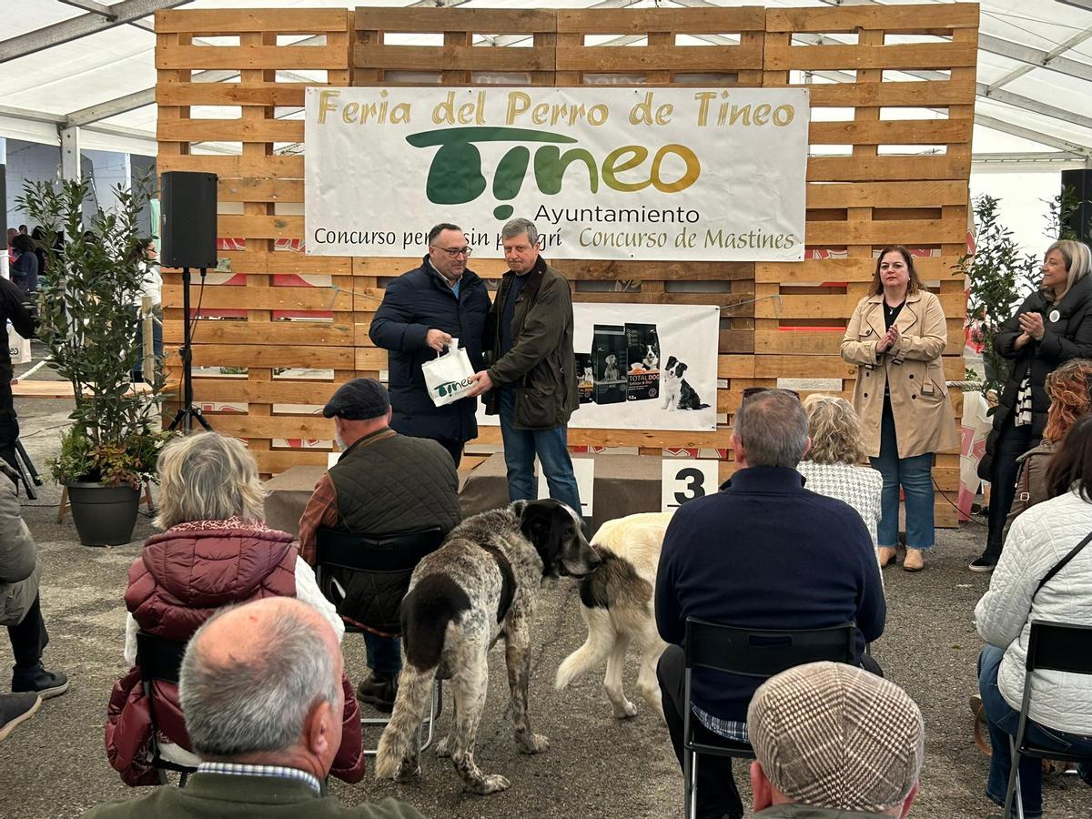 EN FOTOS: Los pastores de osu, protagonistas de la Feria del Perro de Tineo EN FOTOS: Los pastores de osu, protagonistas de la Feria del Perro de Tineo