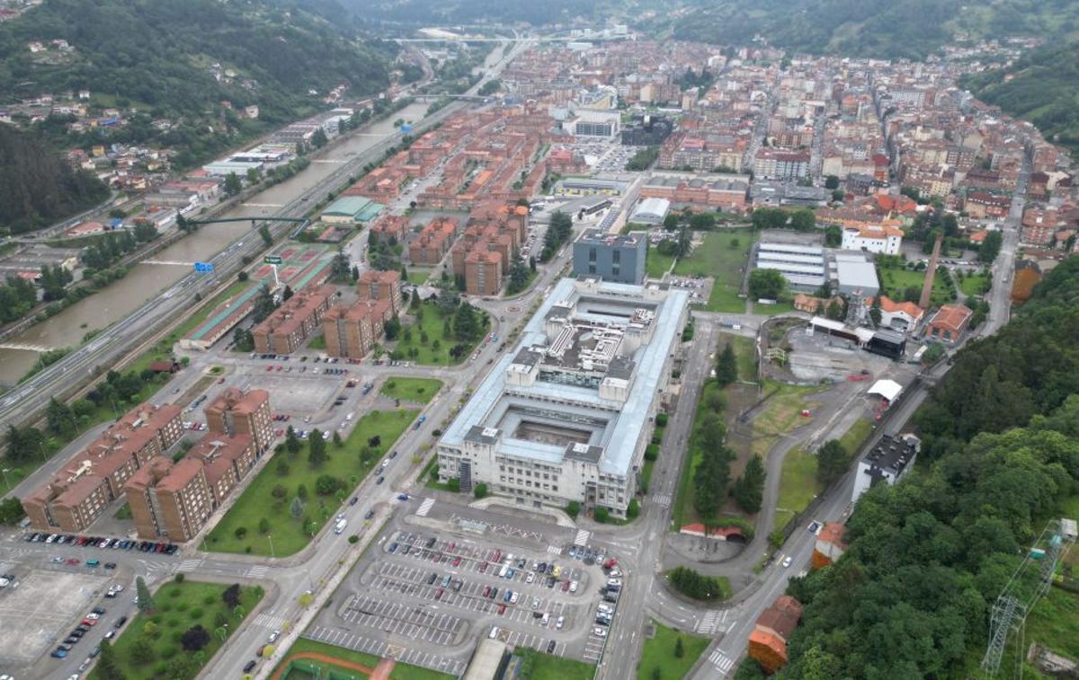 Mieres celebra el día mañana "Bosques vivos, municipio seguro"
