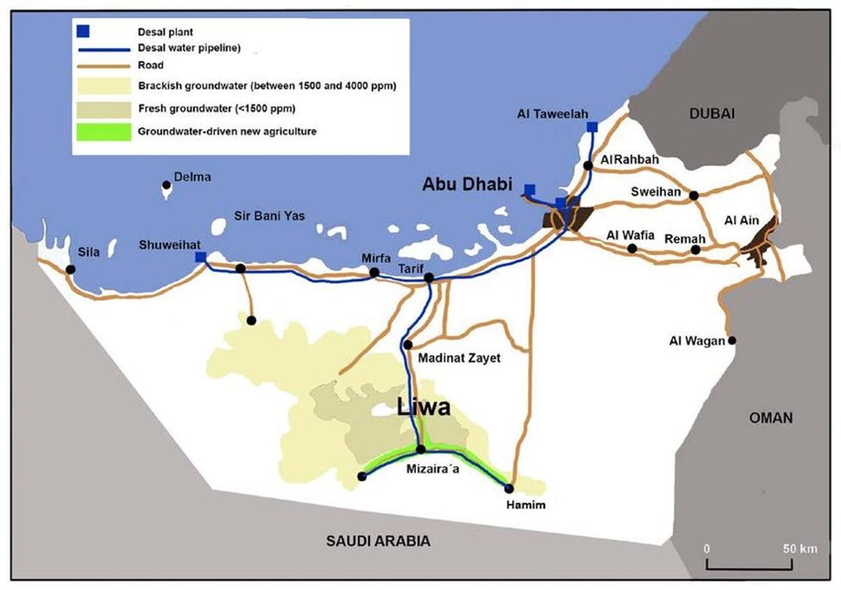 Plan de las actuaciones realizadas
