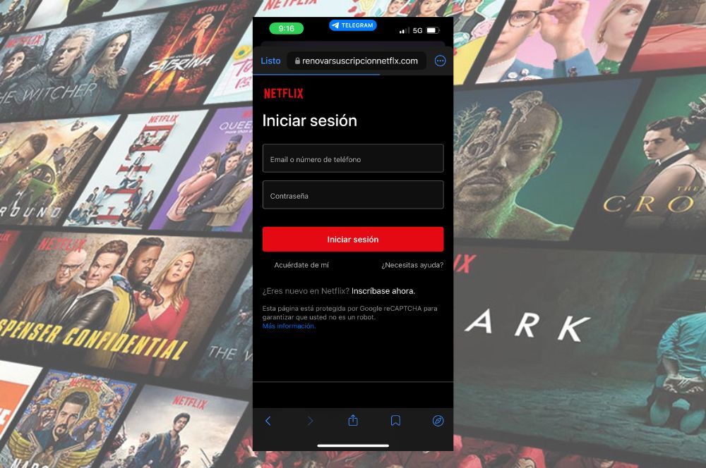 Interfaz de la página de fraude de Netflix