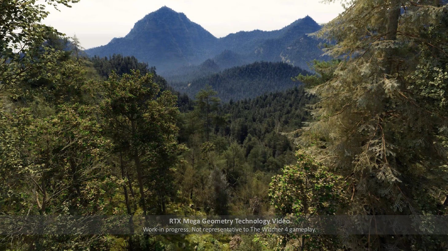 Detalles geométricos gigantes de The Witcher 4