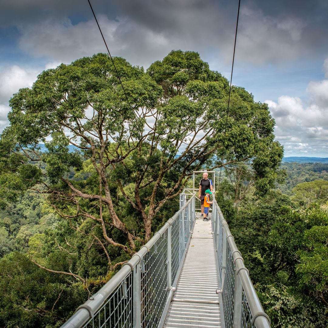 Puente colgante en el Parque Nacional Ulu Temburong, Brunei