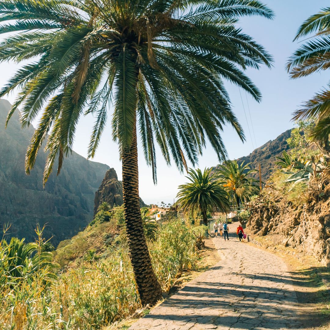 Carretera de Masca, Tenerife