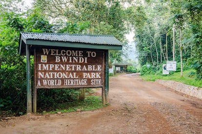 Entrada al Parque Nacional Impenetrable de Bwindi, Uganda.