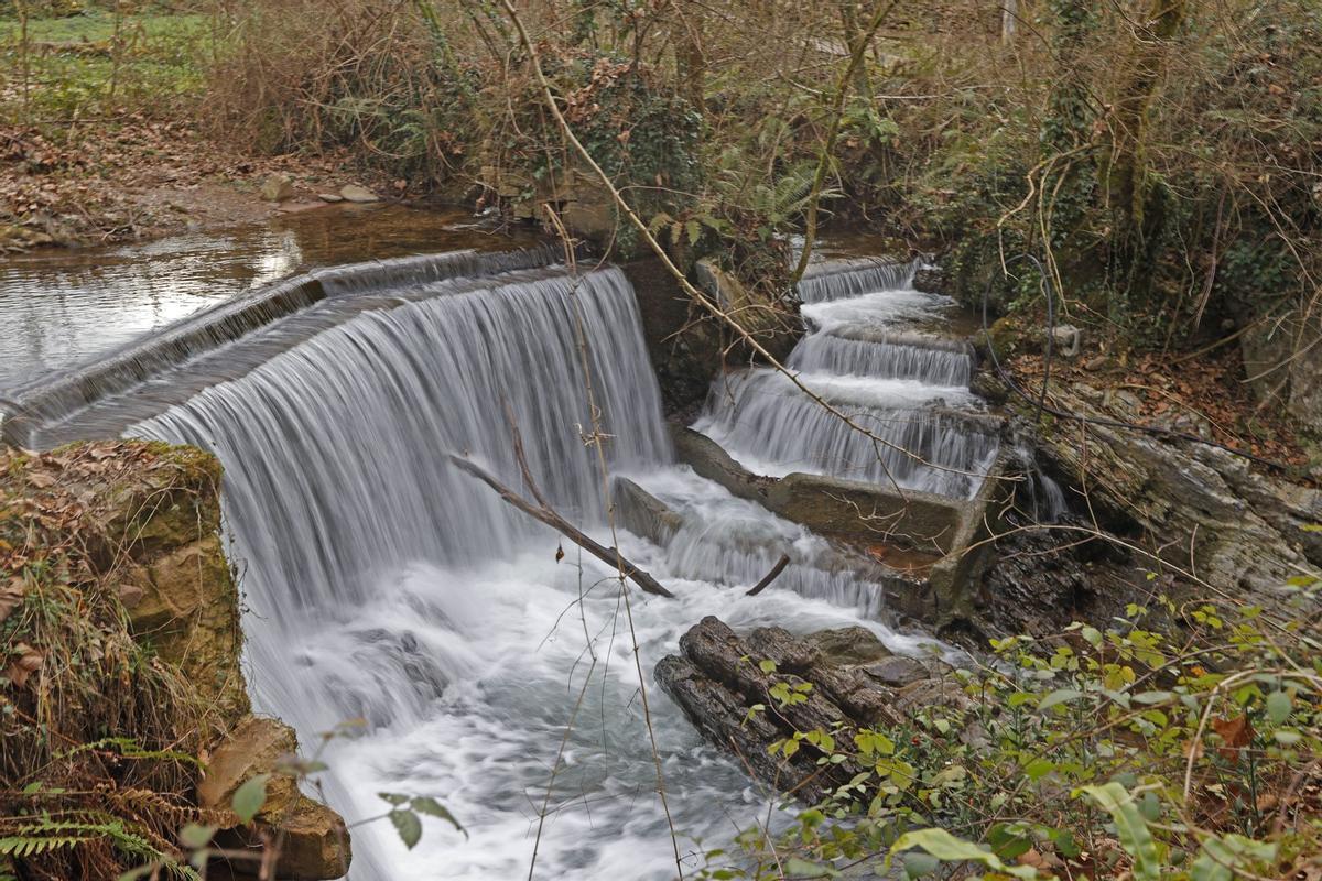 Represas como esta obstaculizan el movimiento natural de los peces