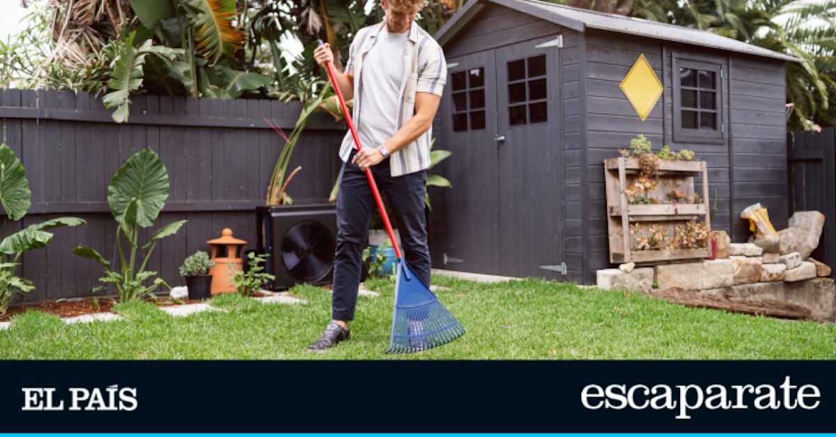 Ordena el jardín en un día con el cobertizo de almacenamiento superventas en Amazon | Lo más vendido | Escaparate