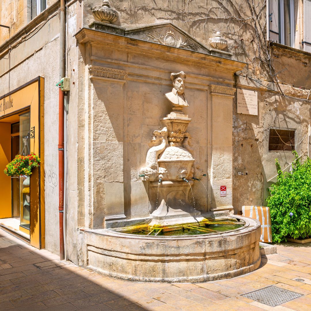 Saint-Rémy-de-Provence, Provenza, Francia