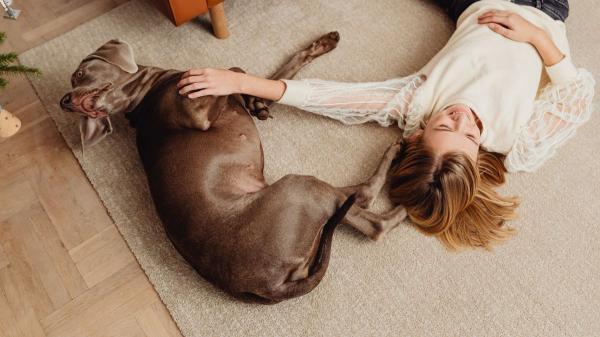 Vivir con un perro deja una huella bacteriana en la boca de los adolescentes que les ayuda a relacionarse mejor, según un estudio - Vivir con un perro podría proporcionar algo más que compañía a los adolescentes