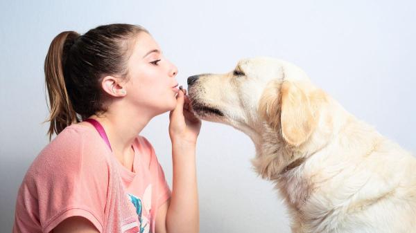 Vivir con perro deja una marca bacteriana en la boca de los adolescentes que les ayuda a relacionarse mejor, según un estudio - Detectan 12 bacterias diferentes en adolescentes que conviven con perros