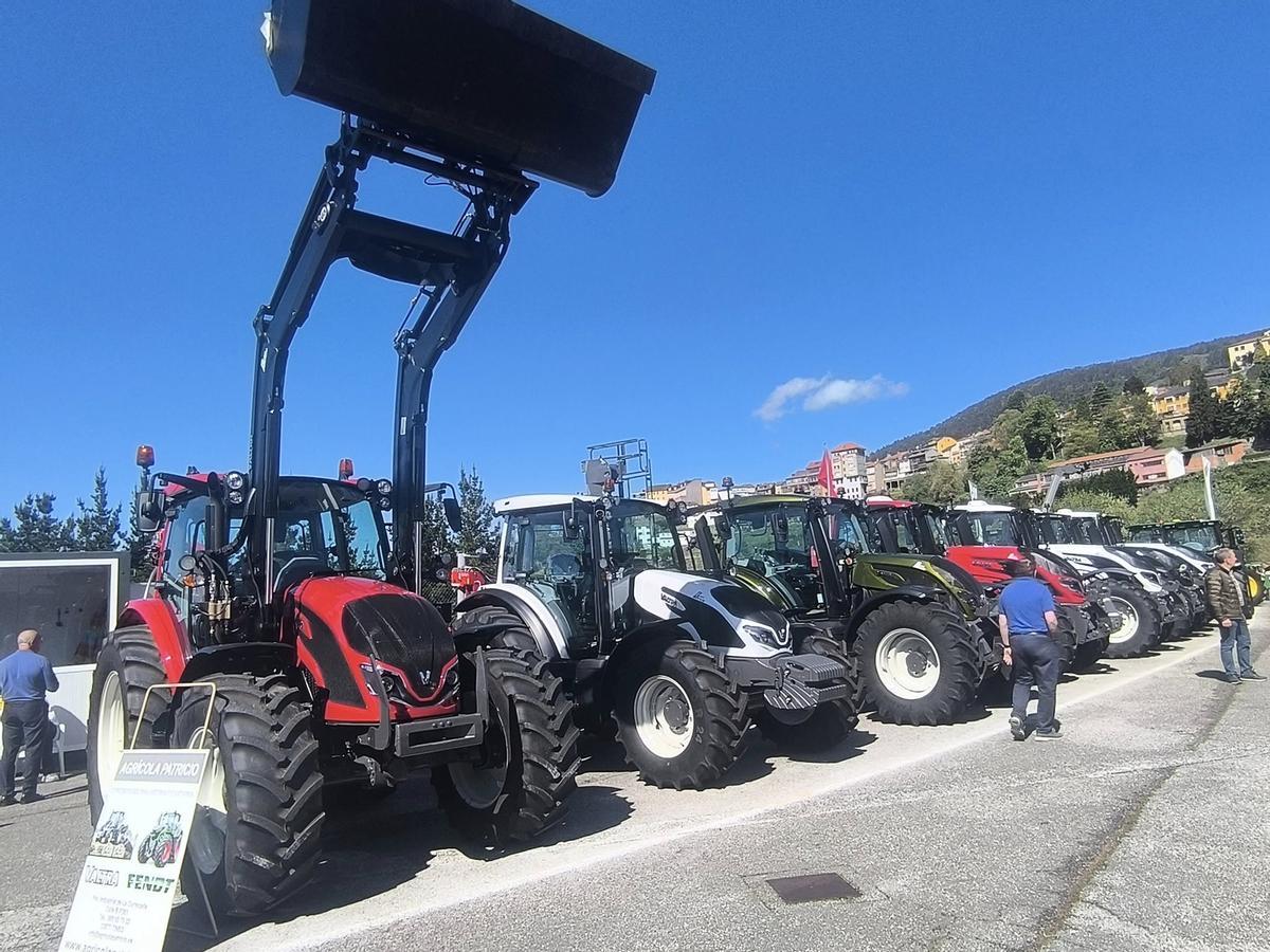 Expositores en la feria en la edición del año pasado