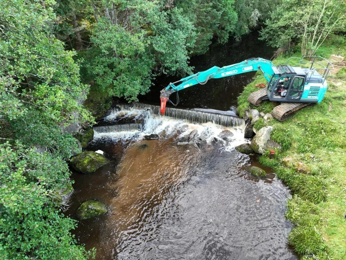 Eliminación de una barrera artificial en un río.