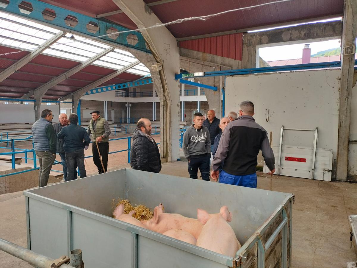 Un momento de la mañana, en el recinto ferial de Cangués.